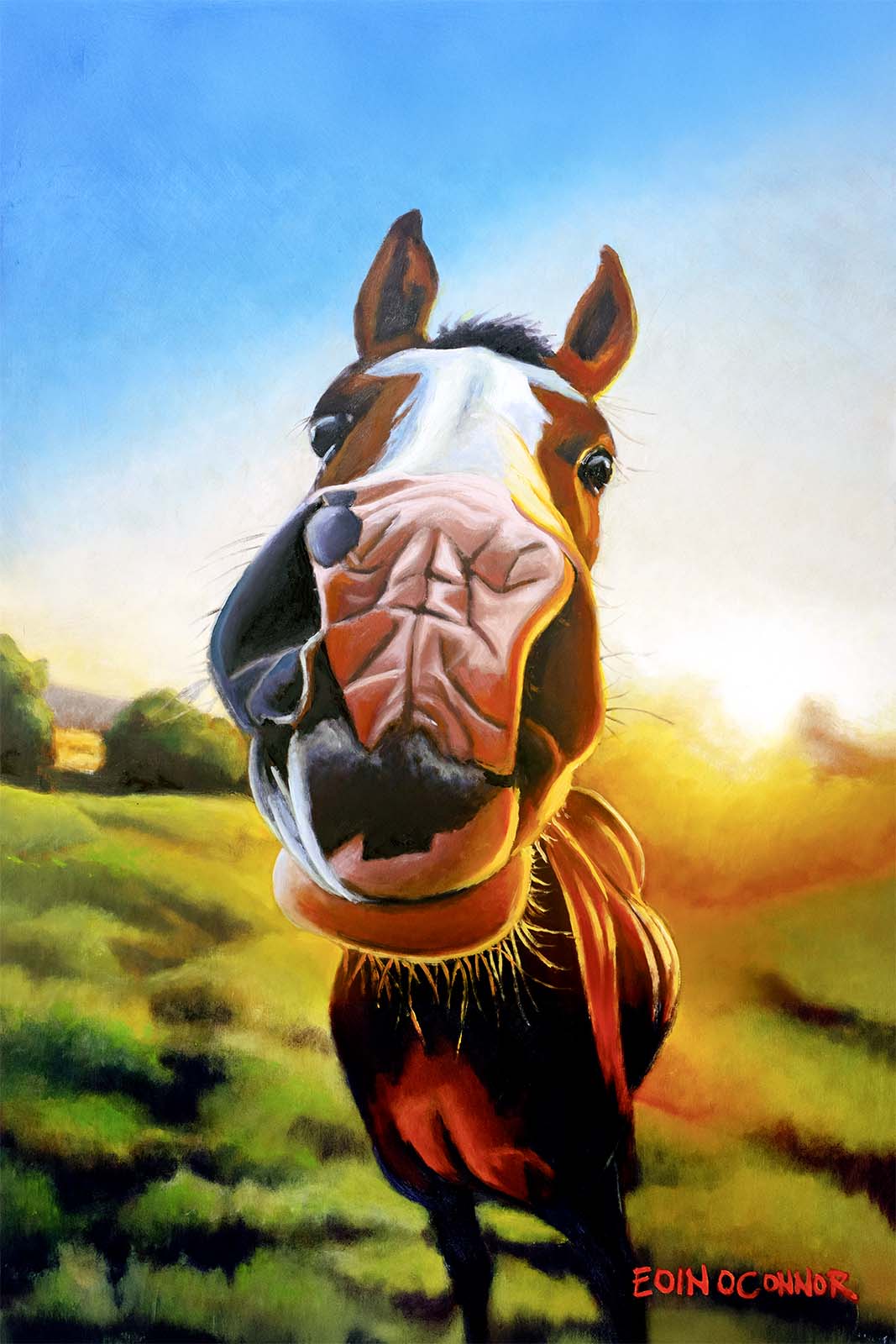 Happy Horsey